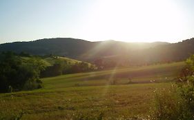 Cozy Holiday Home in Montespertoli with Garden
