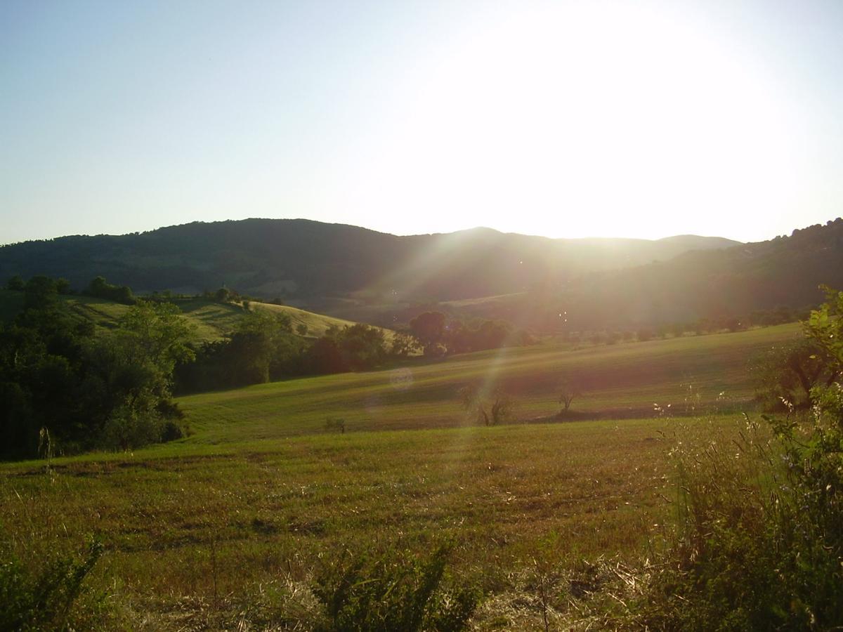 Belvilla By Oyo Il Camino Montespertoli Buitenkant foto